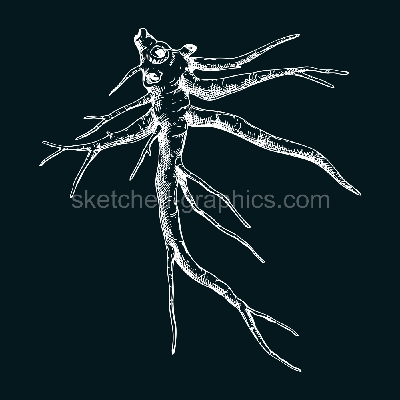 Marshmallow root sketch. Apothecary plant drawing. Herbal remedies, medicinal plant, natural medicine hand-drawn vector illustration on chalkboard. NOT AI generated Illustration